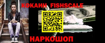 мдпв Камышлов