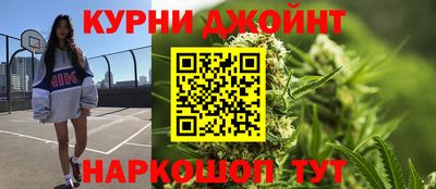 мдпв Камышлов