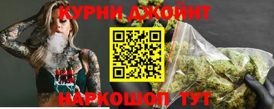 мдпв Камышлов