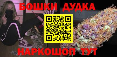 мдпв Камышлов