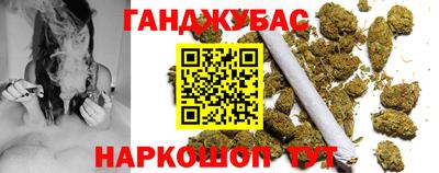 мдпв Камышлов
