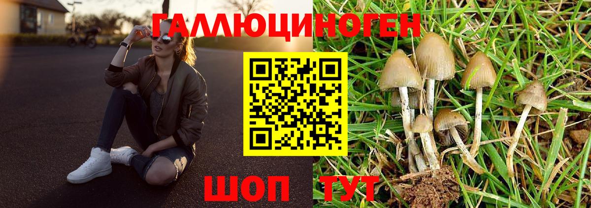 Галлюциногенные грибы ЛСД  Вход с VPN  Химки  Псилоцибиновые грибы мухоморы 